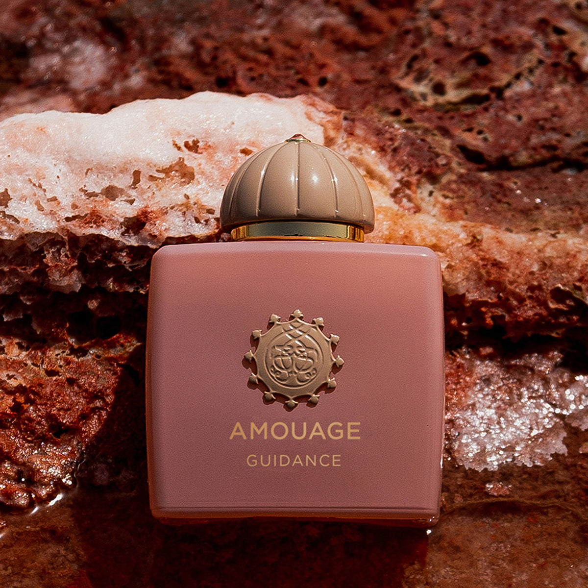 Amouage - Guidance