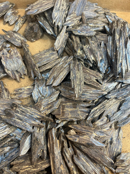 Oud kalimantan d’Indonésie 🇮🇩