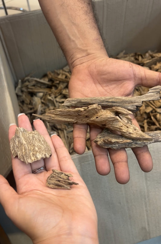 Oud Meraukee grade super - Papoua Indonesia 🇮🇩