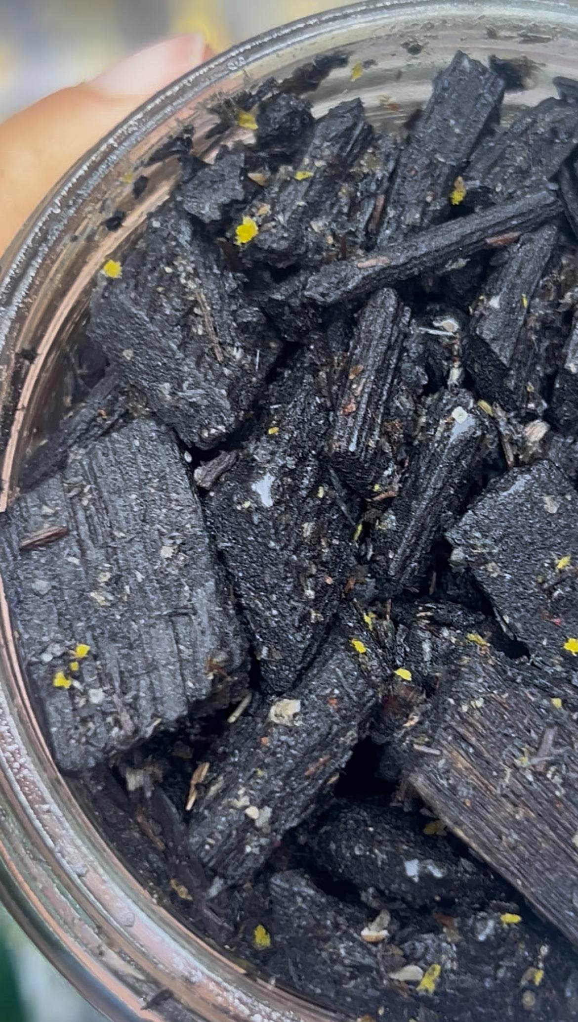 Oud khussusi d’Oman🇴🇲