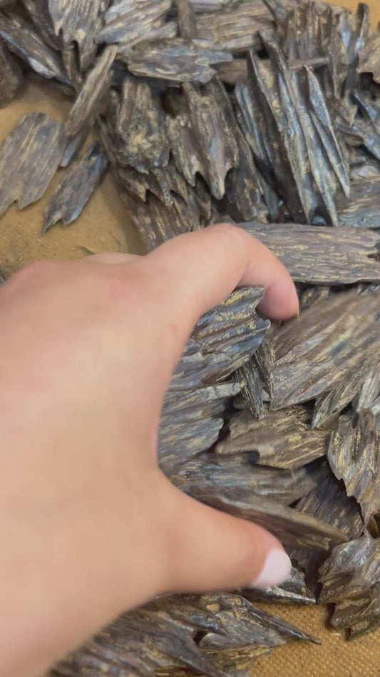 Oud kalimantan d’Indonésie 🇮🇩